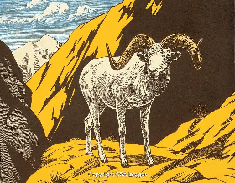 Illustration of a Mountain Ram in a Rocky Canyon Landscape