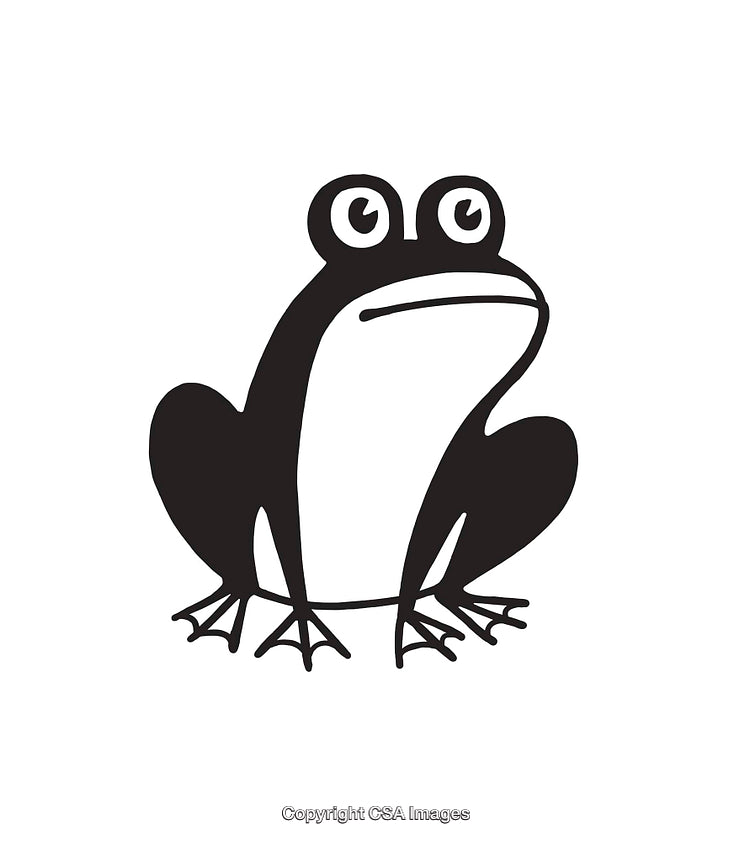 Black and White Frog Line Art Illustration with Simplified Details