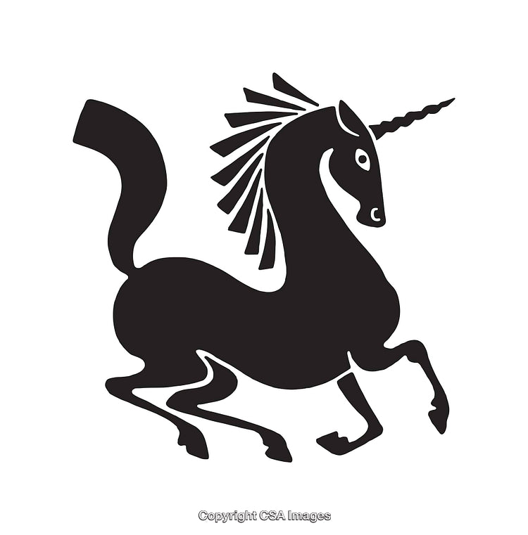 Stylized Black And White Unicorn Line Art Illustration With Abstract Details