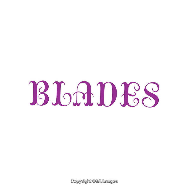 Elegant Purple Word Design Featuring the Name "Blades" in Decorative Font