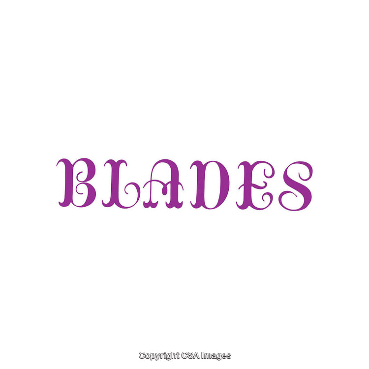 Elegant Purple Word Design Featuring the Name "Blades" in Decorative Font