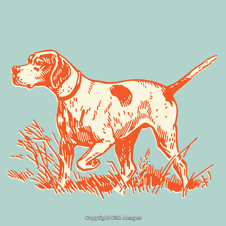 Colorful Line Art Illustration of a Hunting Dog in a Natural Setting