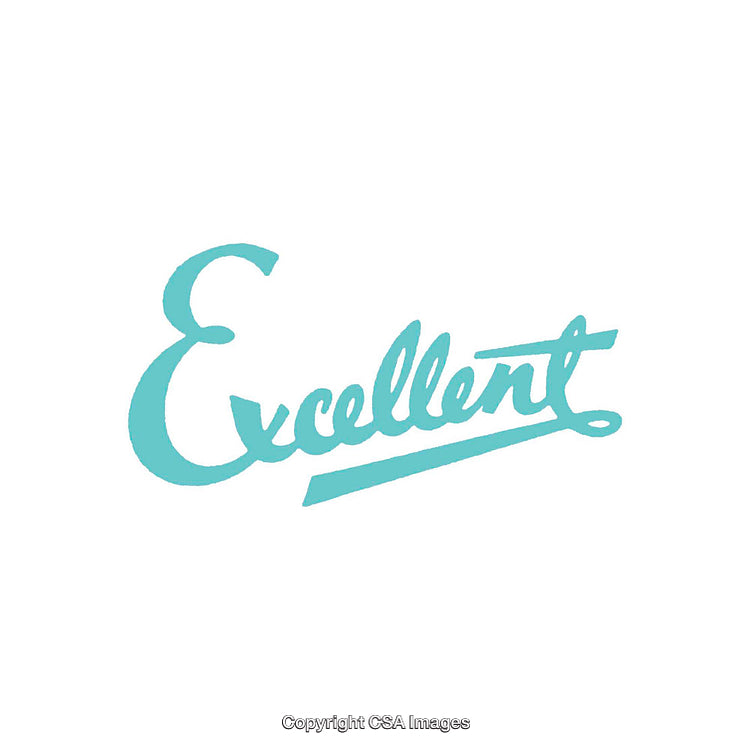Stylish Typographic Artwork Featuring Word 'Excellent' in Light Blue Font
