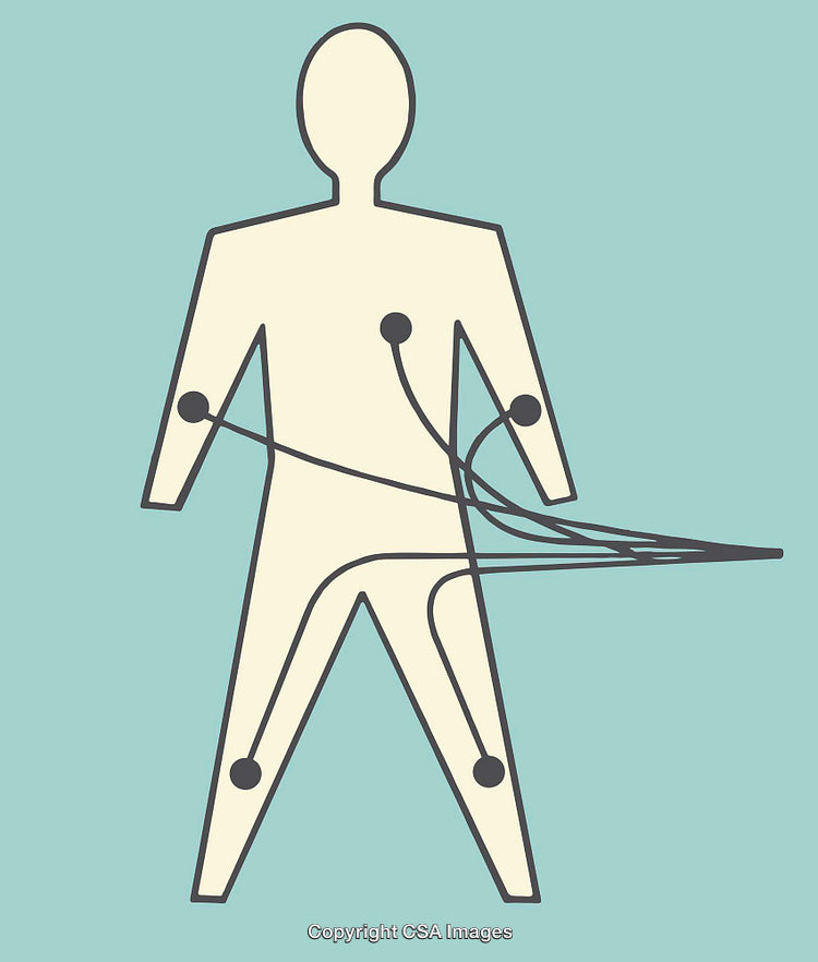 Minimalist Medical Diagram Depicting Human Anatomy with Connected Lines