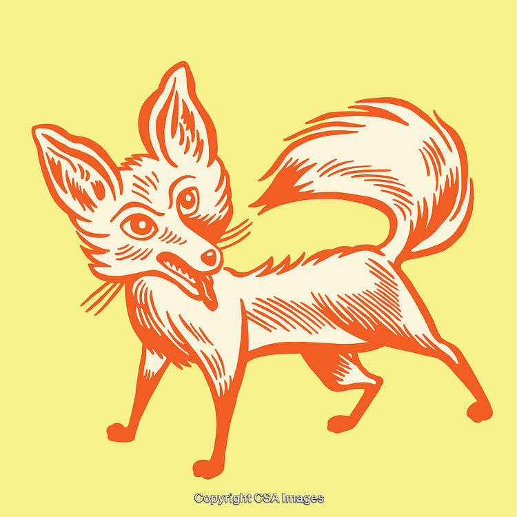 Colorful Line Art Illustration of a Playful Fox with a Yellow Background