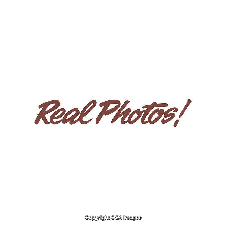 Bold Cursive Typography Displaying 'Real Photos' in Brown on a White Background