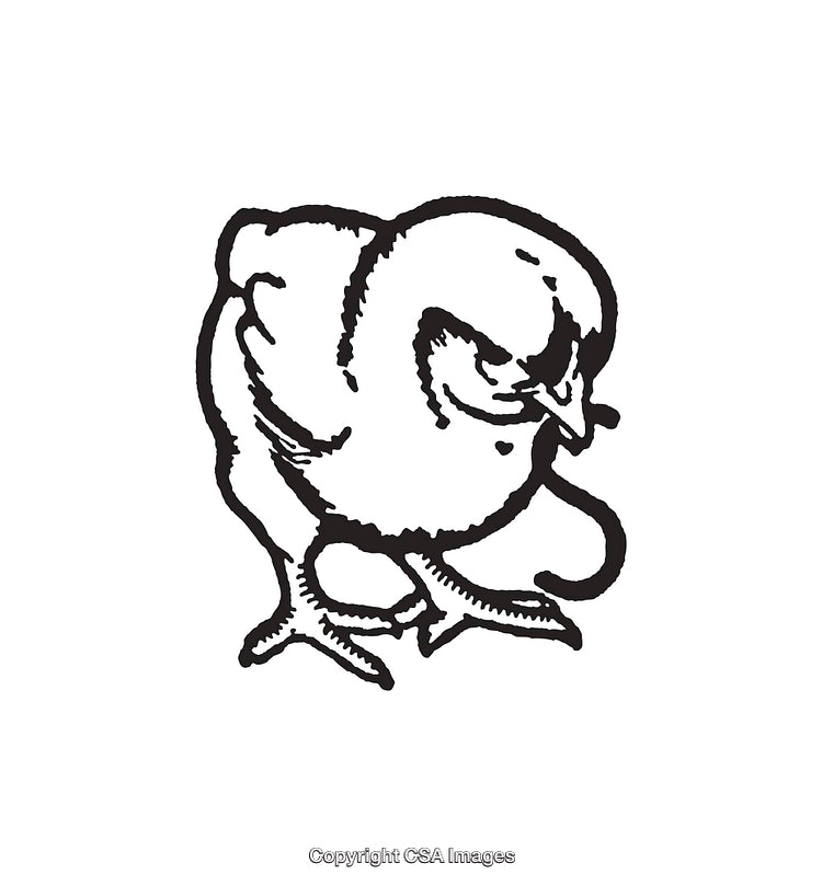 Black And White Line Art Illustration of a Cute Baby Chick