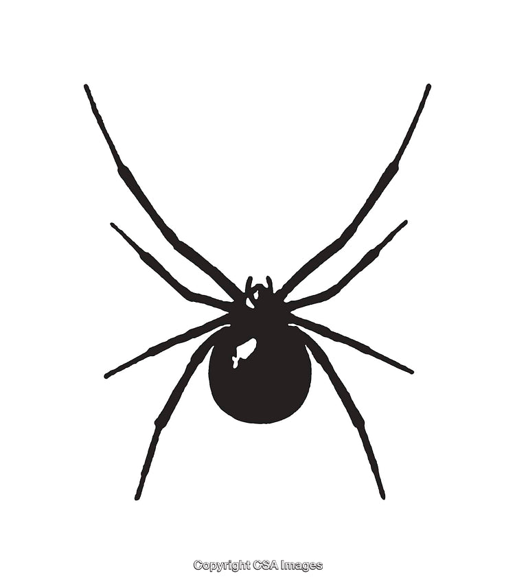 Black and White Line Art Illustration of a Spider Silhouette