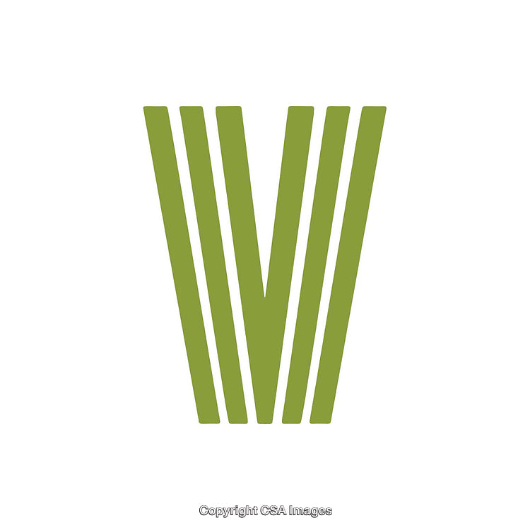 Stylized Green Letter V Illustration Against White Background