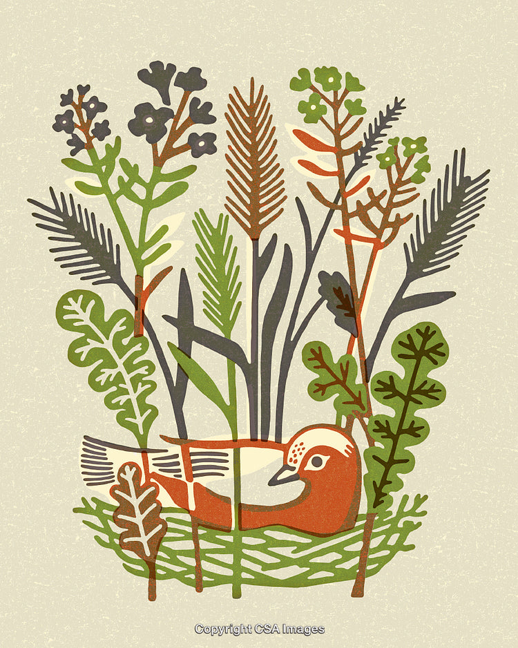 Colorful Stylized Bird Surrounded by Diverse Plants in Artistic Illustration