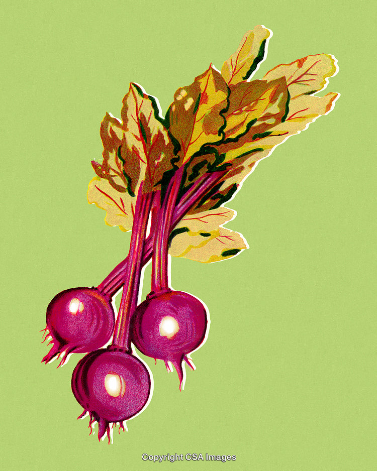 Illustrated Beets with Leaves on a Vibrant Green Background