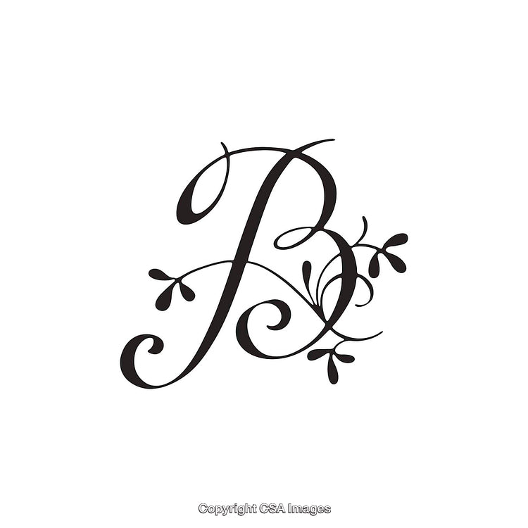 Elegant Decorative Letter B with Flourishes and Floral Motif