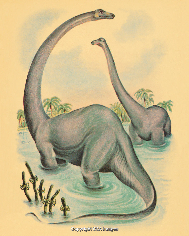 Vintage Illustration of Dinosaurs in a Water Habitat with Lush Vegetation