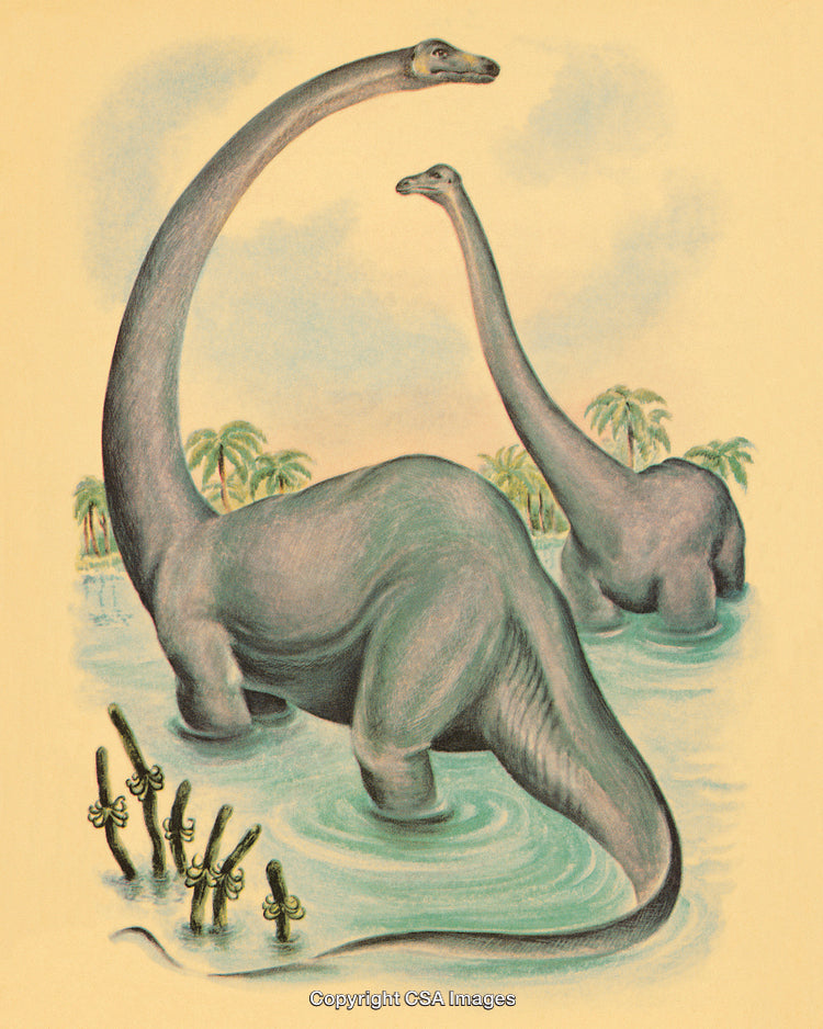 Vintage Illustration of Dinosaurs in a Water Habitat with Lush Vegetation
