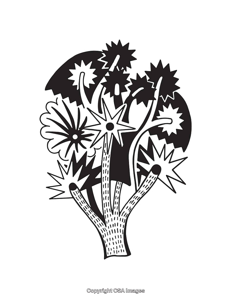 Black and White Vector Illustration of Stylized Florals