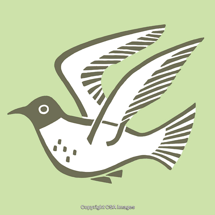 Minimalist Bird Illustration on a Soft Green Background for Decor or Design