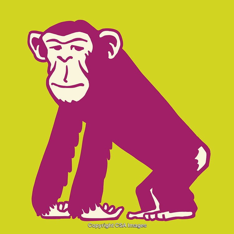 Colorful Line Art Illustration of a Monkey Standing on a Lime Green Background