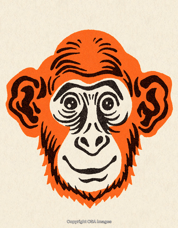 Vintage Illustration of a Monkey Face Featuring Bold Colors and Stylized Details