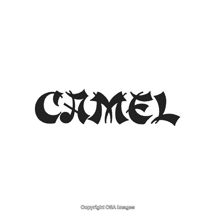 Creative Camel Text Logo Using Stylized Font Design on White Background