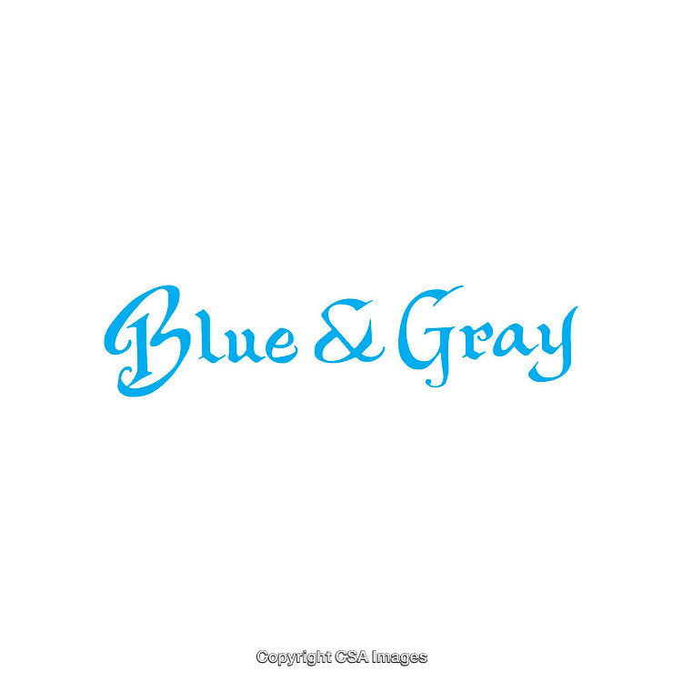 Elegant Blue And Gray Typography Design On a Clean White Background