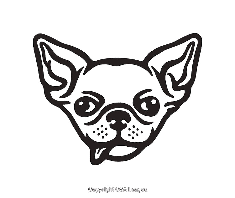 Minimalist Line Art Illustration of a Chihuahua Dog Face