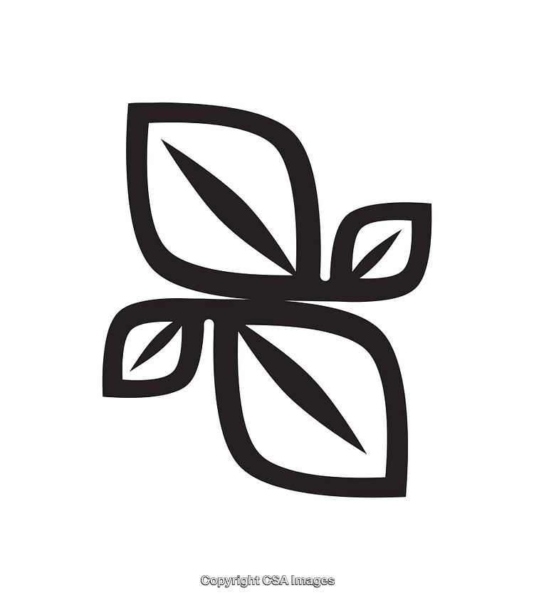 Minimalist Black and White Botanical Line Art with Clean Geometric Style