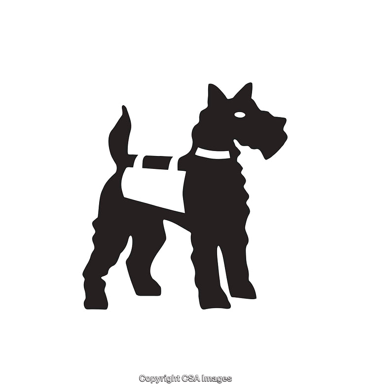 Silhouette of a Terrier Dog in Minimalist Black and White Style