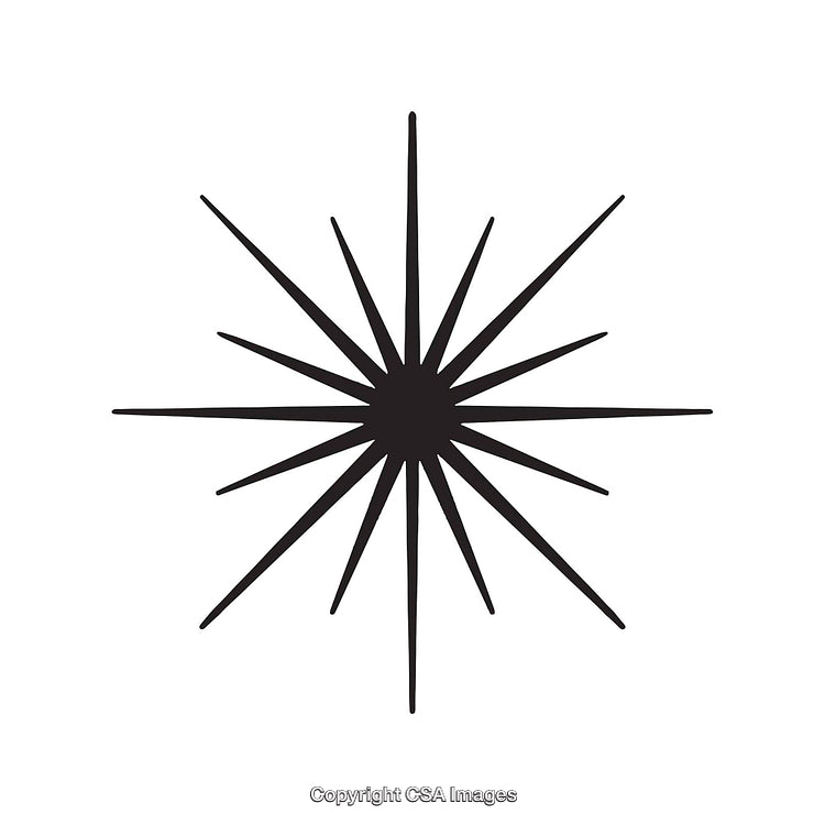 Black and White Starburst Icon with Radiating Spikes on White Background