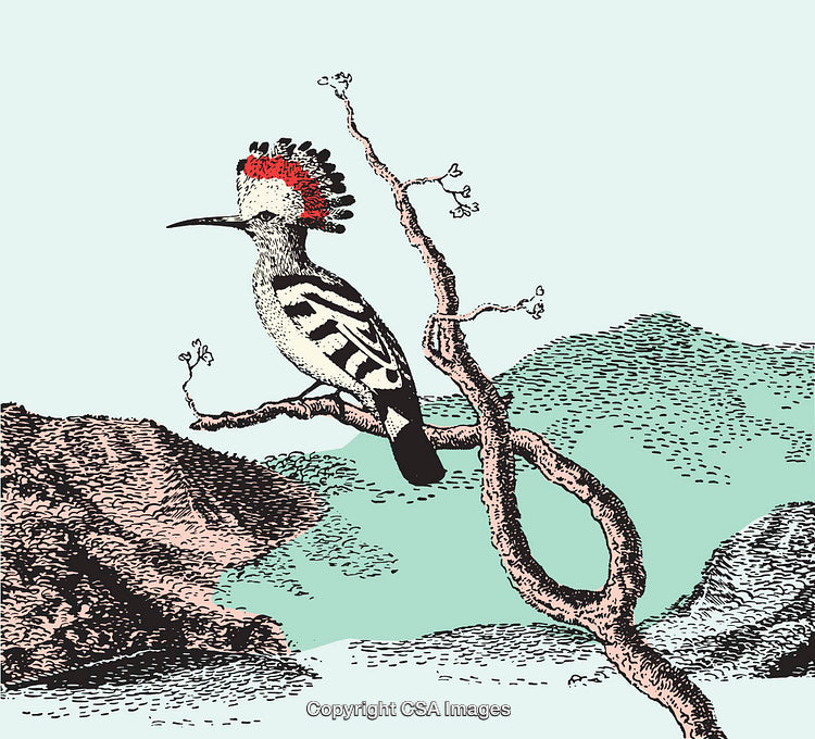 Illustrated Bird in Scenic Landscape Perched on a Branch
