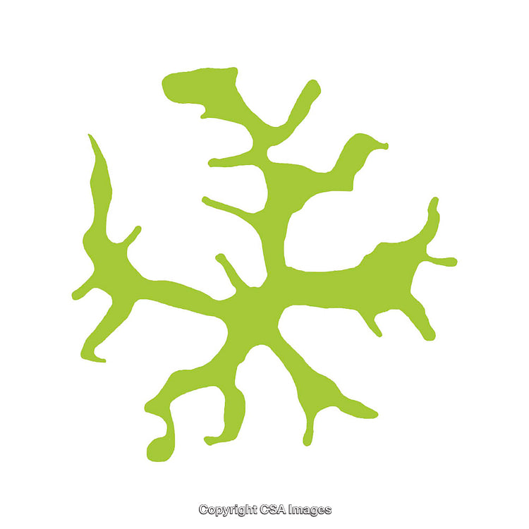 Abstract Green Bioorganic Shape Symbolizing Nature and Growth