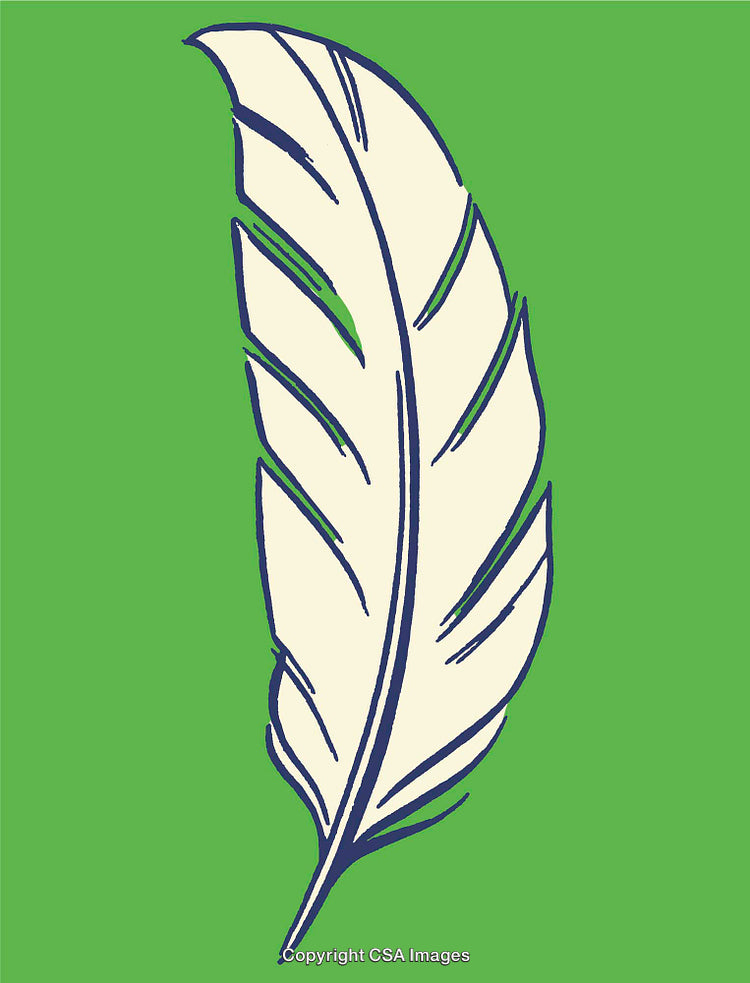 Hand-Drawn Feather On Green Background, Blue Outline Illustration