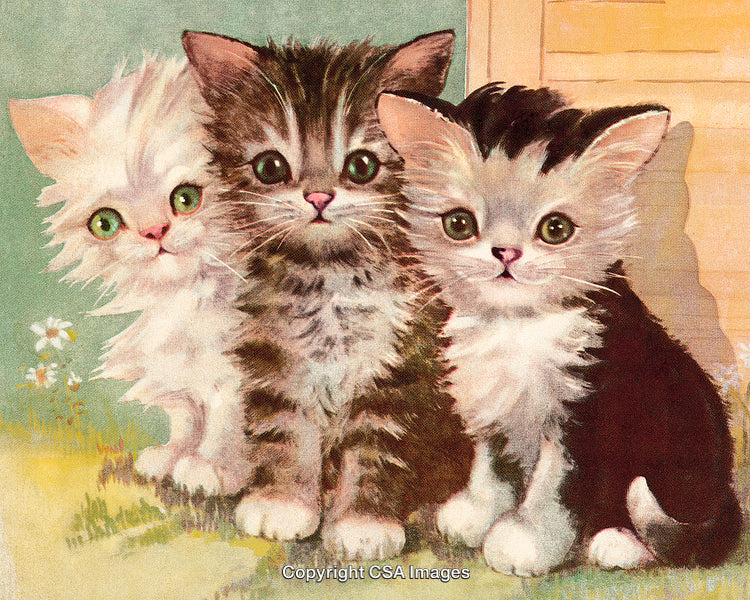 Charming Portrait of Three Cute Furry Kittens Sitting Together Outdoors