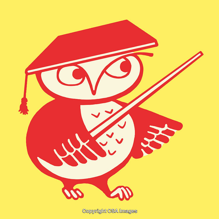 Colorful Line Art Owl Illustration With Mortarboard and Pointer on Yellow Background