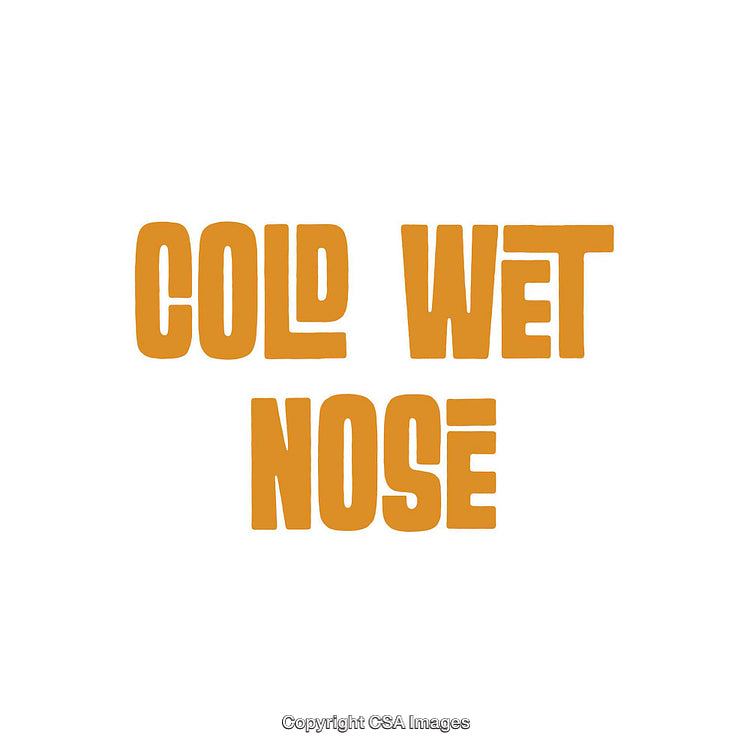 Bold Typography Highlighting a Creative Phrase in All Caps