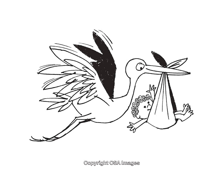 Illustration of a Stork Carrying a Baby in a Sack