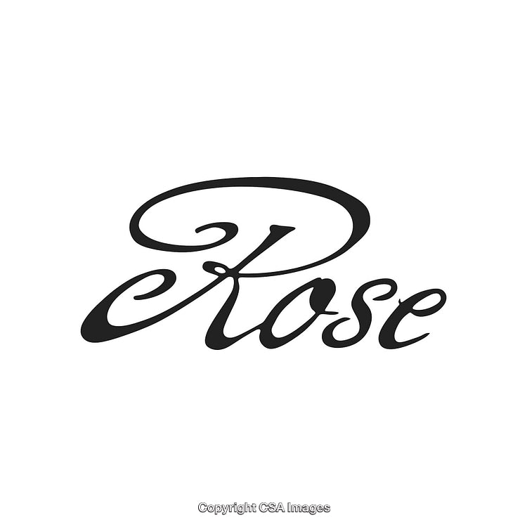 Elegant Script Typography Featuring Name Rose on White Background