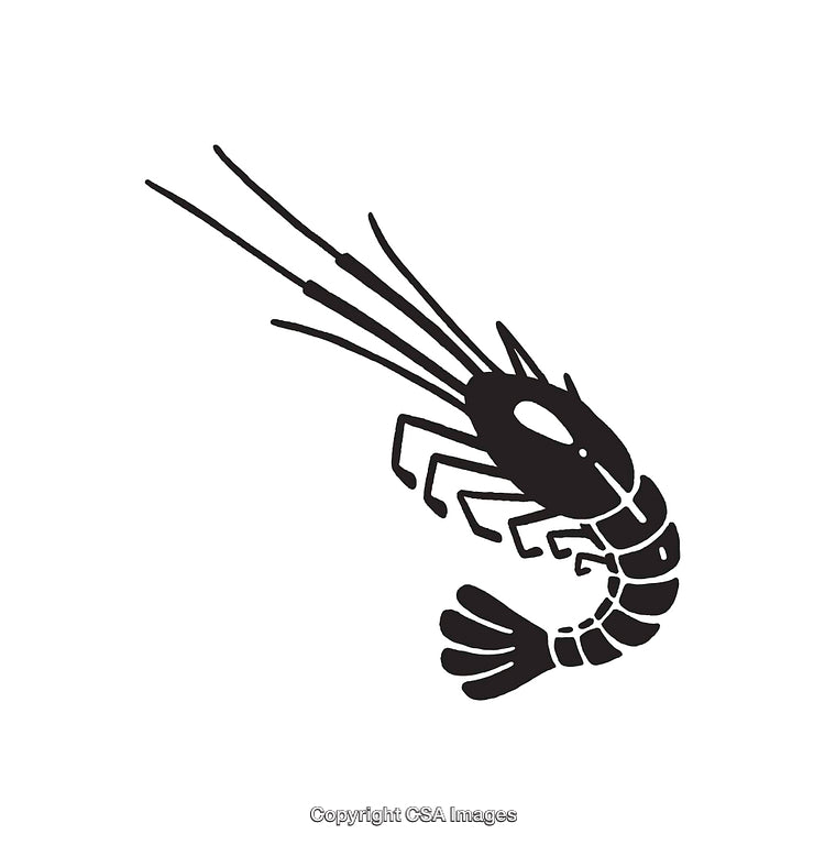 Black and White Line Art Illustration of a Prawn or Shrimp