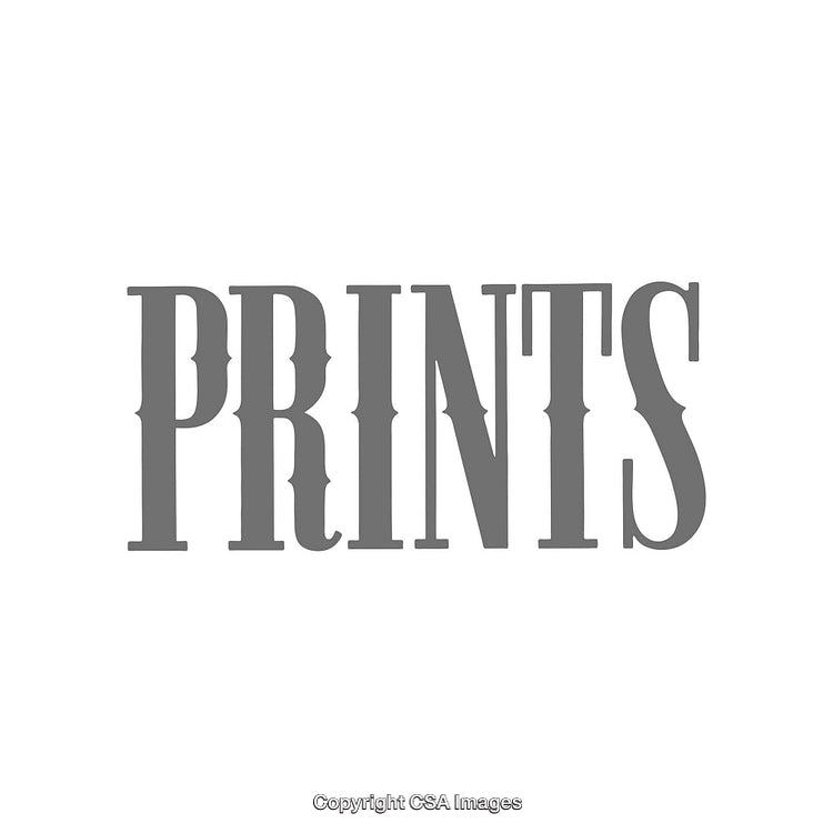 Elegant Typography Emphasizing Prints with Stylish Gray Font on White Background