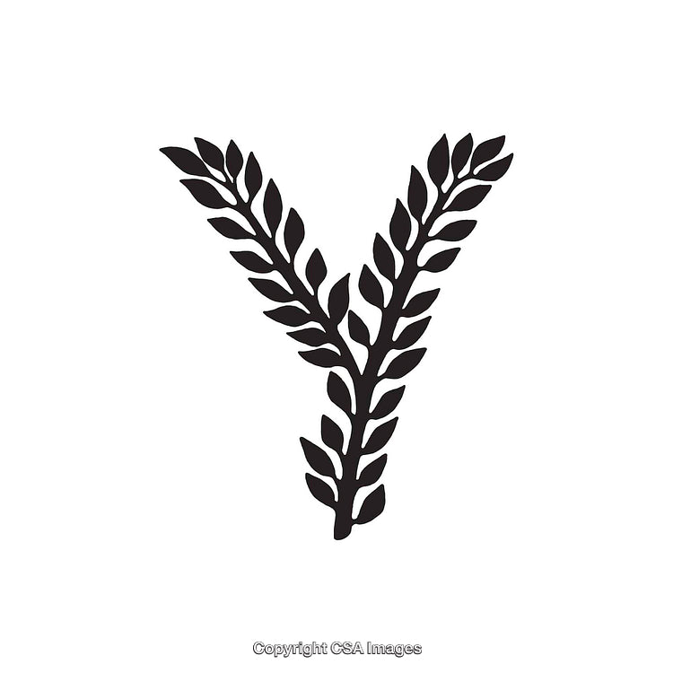 Elegant Floral Letter Y Silhouette with Detailed Leaf Design on White