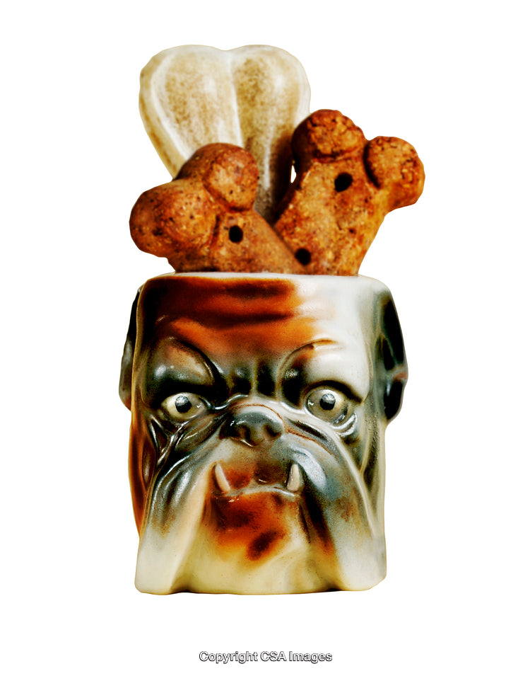 Ceramic Dog-Style Container Filled with Assorted Dog Biscuits