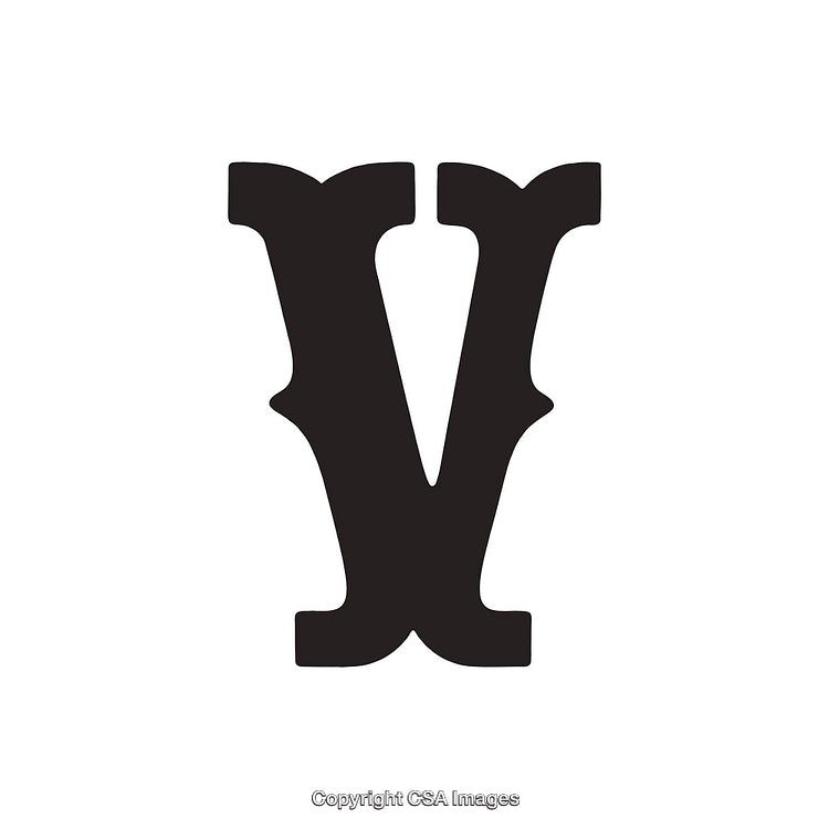 Bold Black Letter V on White Background with Elegant Font