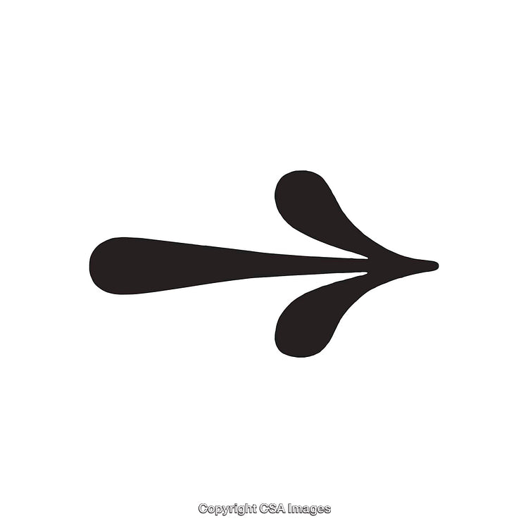 Decorative Black Arrow Symbol with Organic Splashes on White Background