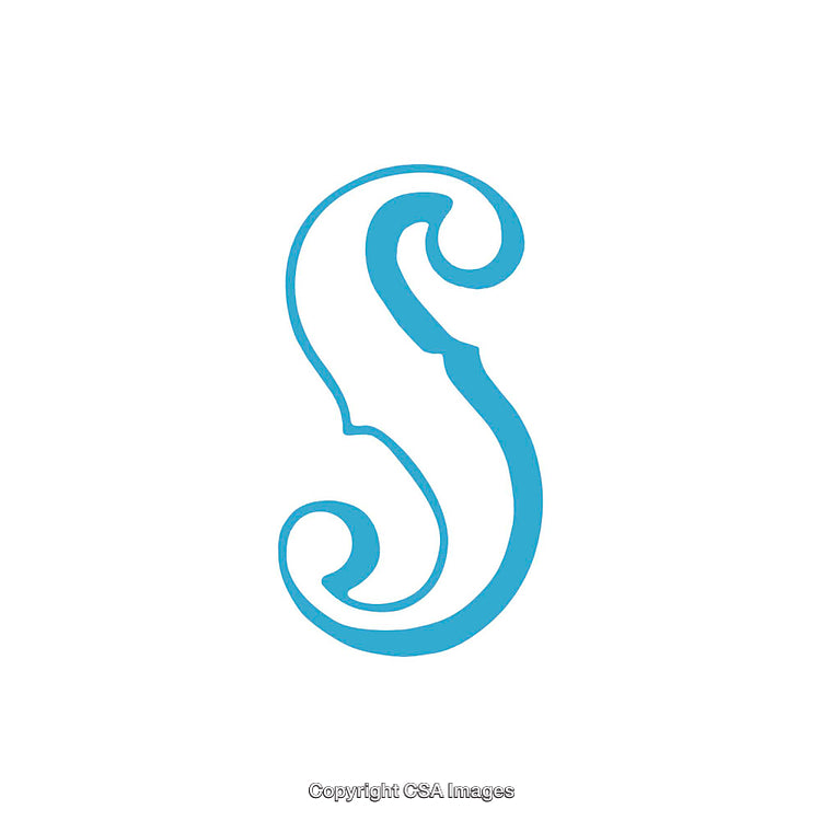 Elegant Blue Stylized Letter S Icon on a White Background