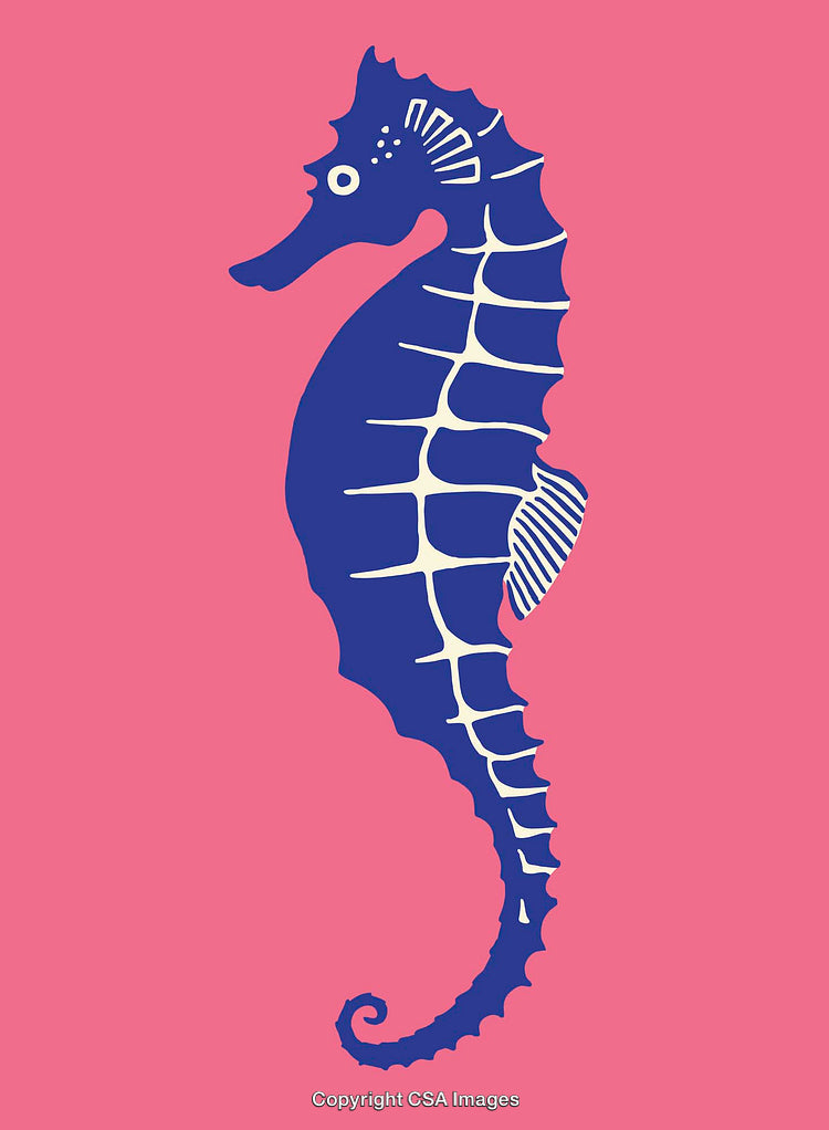 Vibrant Seahorse Artwork in Stylish Colorful Line Illustration Design