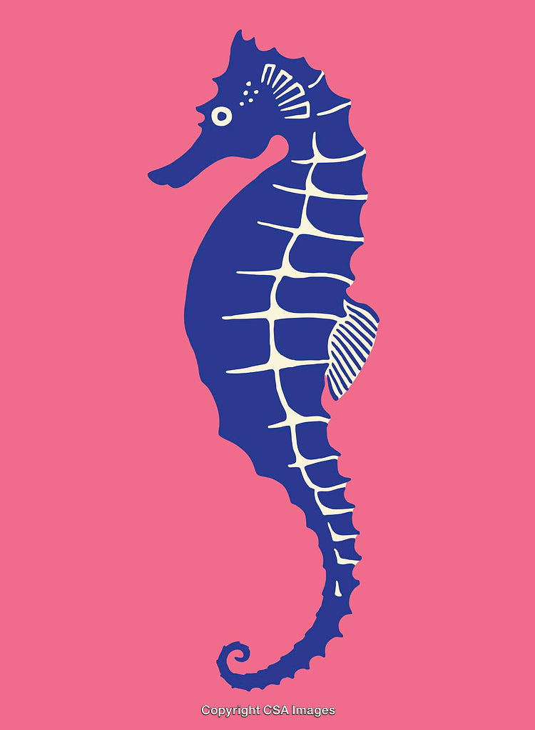 Vibrant Seahorse Artwork in Stylish Colorful Line Illustration Design