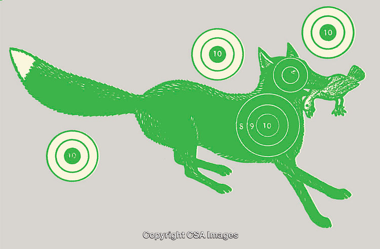 Green Line Art of Fox Silhouette with Target Design Elements