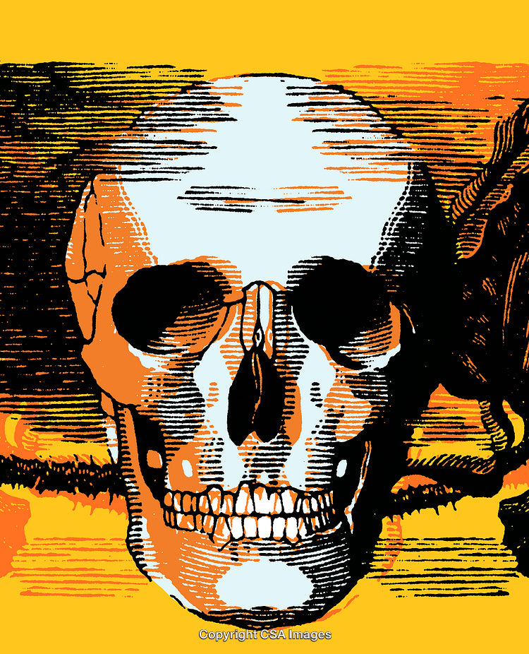 Abstract Skull Illustration with Bold Colors and Engraved Details