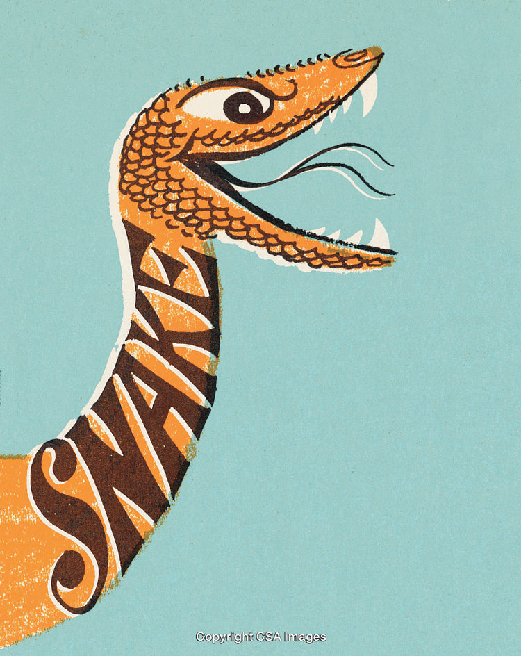 Retro-Style Artistic Snake Illustration with Unique Text Design