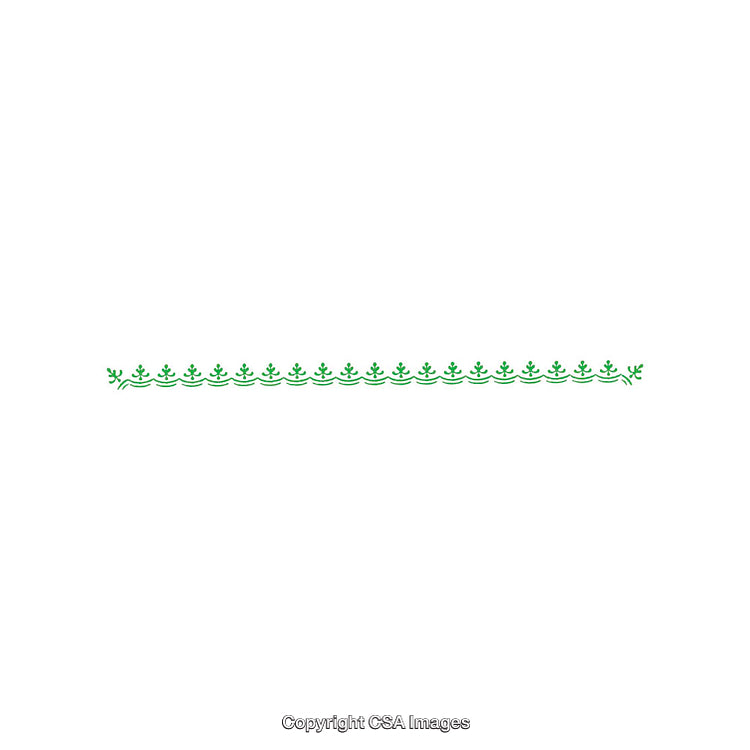 Elegant Green Floral Border Design on a Clean White Background