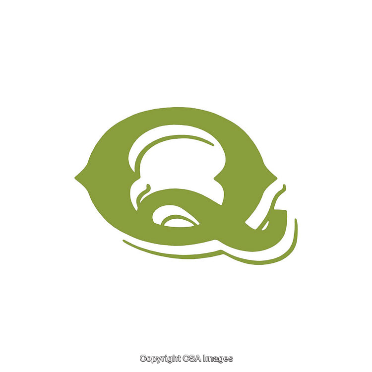 Artistic Green Letter Q Design With Minimalist and Modern Style